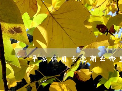 平安信用卡逾期去哪里立案