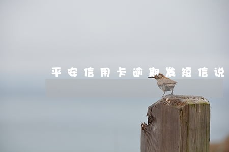平安信用卡逾期发短信说上门 平安信用卡逾期发短信说上门