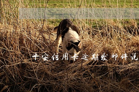 平安信用卡逾期发邮件说要上门