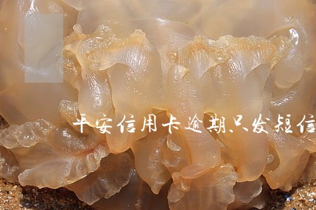 平安信用卡逾期只发短信