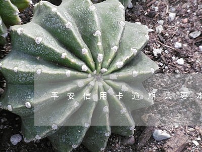 平安信用卡逾期只要本金可靠吗 平安信用卡逾期只要本金可靠吗