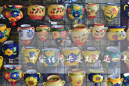平安信用卡逾期只还一半的本金 平安信用卡逾期只还一半的本金