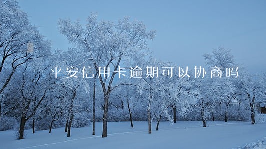 平安信用卡逾期可以协商吗 平安信用卡逾期可以协商吗