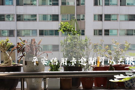 平安信用卡逾期可以去银行协商嘛 平安信用卡逾期可以去银行协商嘛