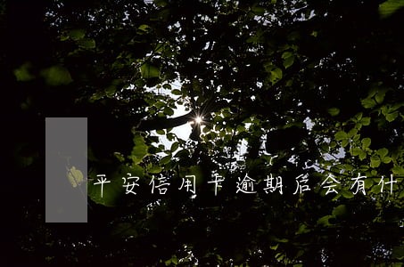 平安信用卡逾期后会有什么后果 平安信用卡逾期后会有什么后果