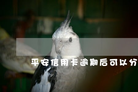 平安信用卡逾期后可以分期吗 平安信用卡逾期后可以分期吗