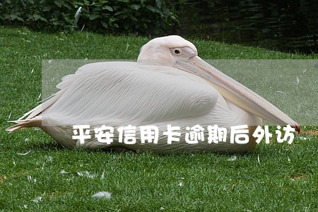 平安信用卡逾期后外访 平安信用卡逾期后外访