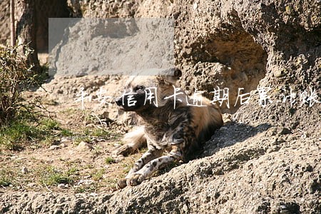 平安信用卡逾期后累计账单 平安信用卡逾期后累计账单