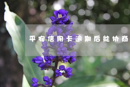 平安信用卡逾期后能协商吗 平安信用卡逾期后能协商吗