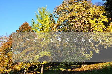 平安信用卡逾期后还清了该怎么做