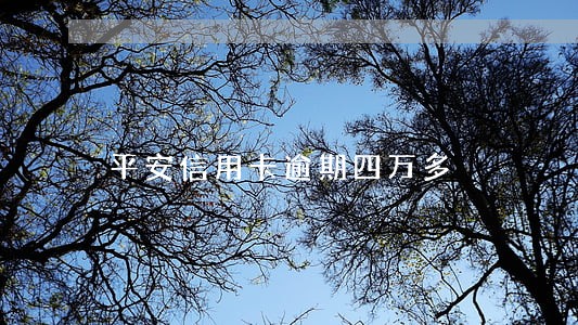 平安信用卡逾期四万多 平安信用卡逾期四万多