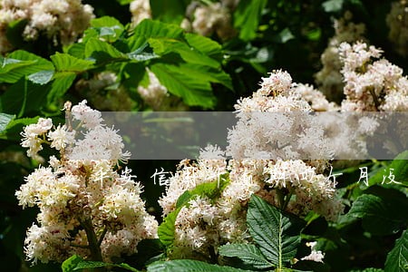 平安信用卡逾期四个月没打电话了 平安信用卡逾期四个月没打电话了