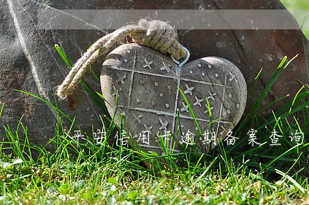 平安信用卡逾期备案查询