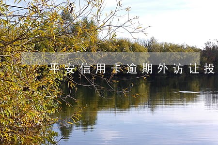 平安信用卡逾期外访让投案自首