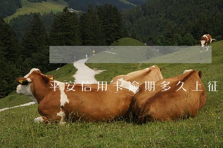 平安信用卡逾期多久上征信6 平安信用卡逾期多久上征信6