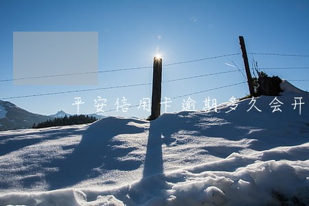 平安信用卡逾期多久会开庭