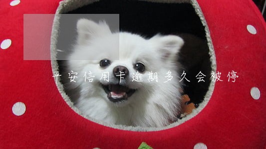 平安信用卡逾期多久会被停 平安信用卡逾期多久会被停