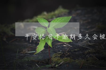平安信用卡逾期多久会被冻结 平安信用卡逾期多久会被冻结