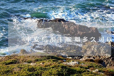 平安信用卡逾期多久可以再次还款 平安信用卡逾期多久可以再次还款