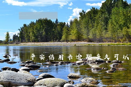 平安信用卡逾期多久可以刷出来 平安信用卡逾期多久可以刷出来