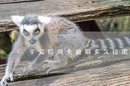 平安信用卡逾期多久拉黑 平安信用卡逾期多久拉黑
