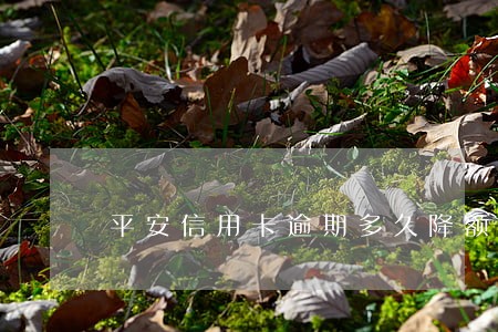平安信用卡逾期多久降额