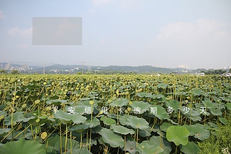 平安信用卡逾期多少天
