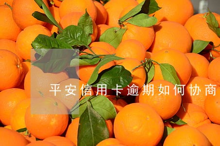 平安信用卡逾期如何协商 平安信用卡逾期如何协商