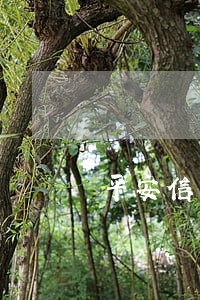 平安信用卡逾期委托第三方上门 平安信用卡逾期委托第三方上门