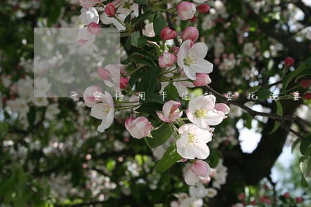 平安信用卡逾期委托说要上门 平安信用卡逾期委托说要上门