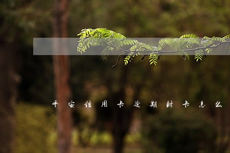 平安信用卡逾期封卡怎么解封 平安信用卡逾期封卡怎么解封