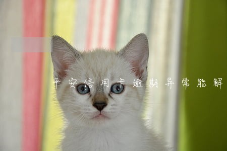平安信用卡逾期异常能解除吗 平安信用卡逾期异常能解除吗
