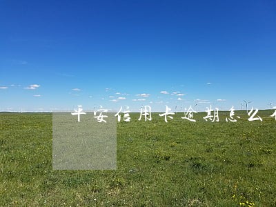 平安信用卡逾期怎么不打电话啊