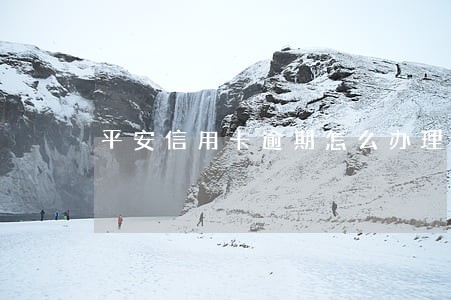 平安信用卡逾期怎么办理吗