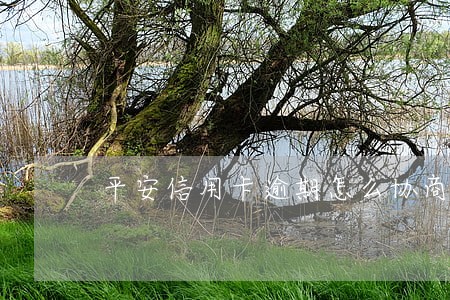 平安信用卡逾期怎么协商合适 平安信用卡逾期怎么协商合适