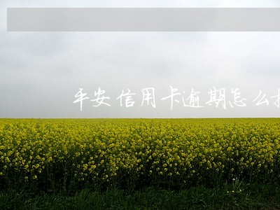 平安信用卡逾期怎么提额 平安信用卡逾期怎么提额