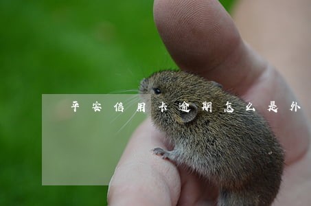平安信用卡逾期怎么是外催 平安信用卡逾期怎么是外催