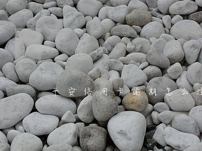 平安信用卡逾期怎么注销 平安信用卡逾期怎么注销