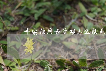 平安信用卡逾期怎么联系人工