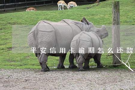 平安信用卡逾期怎么还款吗