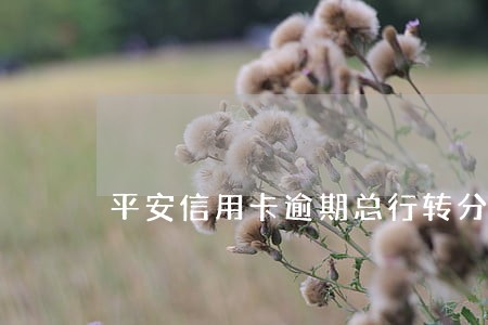 平安信用卡逾期总行转分行 平安信用卡逾期总行转分行