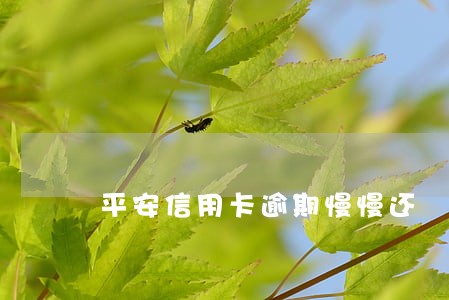 平安信用卡逾期慢慢还