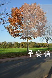 平安信用卡逾期慢慢还可以吗 平安信用卡逾期慢慢还可以吗