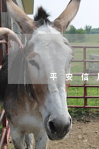 平安信用卡逾期手续费怎么算 平安信用卡逾期手续费怎么算