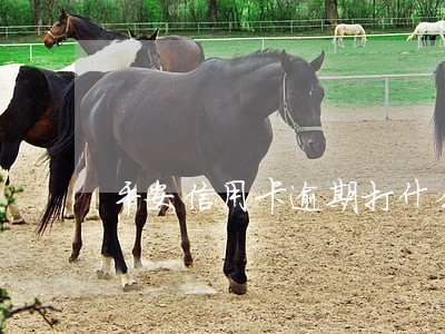 平安信用卡逾期打什么电话 平安信用卡逾期打什么电话