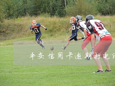平安信用卡逾期打电话到村委