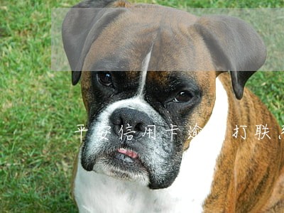 平安信用卡逾期打联系人吗 平安信用卡逾期打联系人吗
