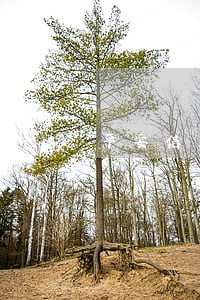 平安信用卡逾期找到了我老公 平安信用卡逾期找到了我老公