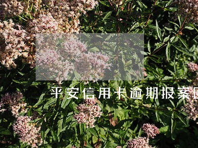 平安信用卡逾期报案回执 平安信用卡逾期报案回执