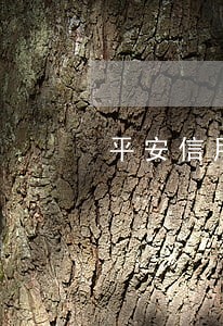 平安信用卡逾期报案通知 平安信用卡逾期报案通知